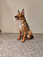 Schäferhund Porzellan Goebel 42 cm Nordrhein-Westfalen - Oer-Erkenschwick Vorschau