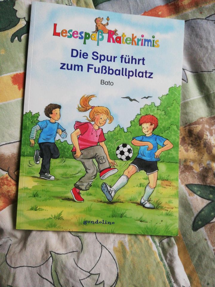 2er Set Buch Kinder Leseanfänger lernen in Werbach