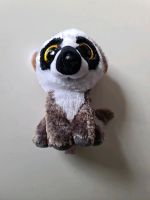 Stofftier Glubschi Ty Katta Lemur Linus 15cm Hessen - Rodgau Vorschau