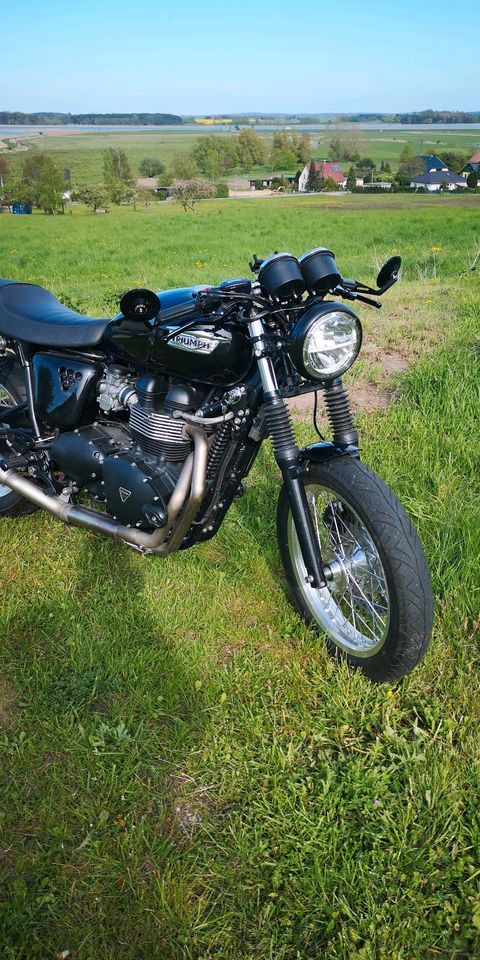 Triumph Thruxton 900 in Norderstedt