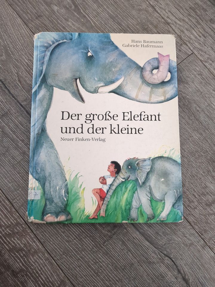 Bilderbuch Vorlesebuch Kinderbuch SET Lego Prinzessin in Gevenich Eifel