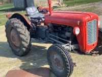 Massey Ferguson MF 35, Diesel Schleswig-Holstein - Böxlund Vorschau