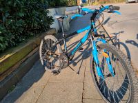 Mountainbike rockrider 500 blau gebraucht bwin Schleswig-Holstein - Ahrensburg Vorschau