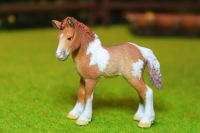 Schleich Pferd Fell Pony Fohlen Repaint repainted Pinto Schecke Bayern - Frammersbach Vorschau