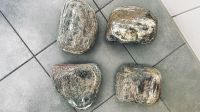 Aquarium Steine 10-15 cm 4x alle zusammen 8€ Bayern - Fürth Vorschau