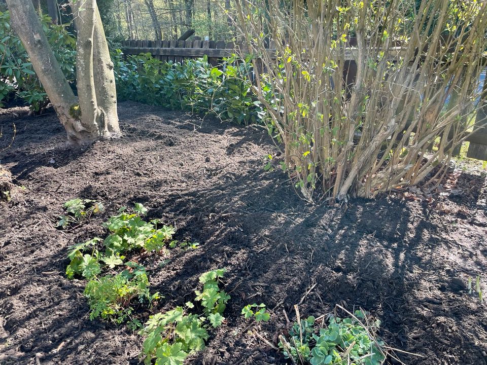 Frische Komposterde Kompost Blumenerde Gartenerde Dünger Erde in Schloß Holte-Stukenbrock