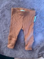 Leggings Gr.56 Rostock - Südstadt Vorschau