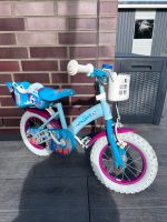 Elsa Kinderfahrrad Schleswig-Holstein - Epenwöhrden Vorschau