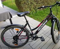 26 Zoll TECNOBIKE Mountainbike / Fahrrad / Jugendrad Leipzig - Kleinzschocher Vorschau