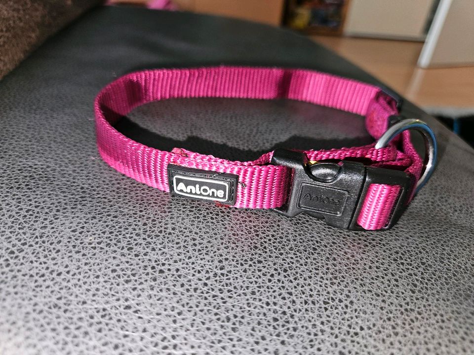 Hunde Halsband AniOne Gr S pink -Beere in Günzburg