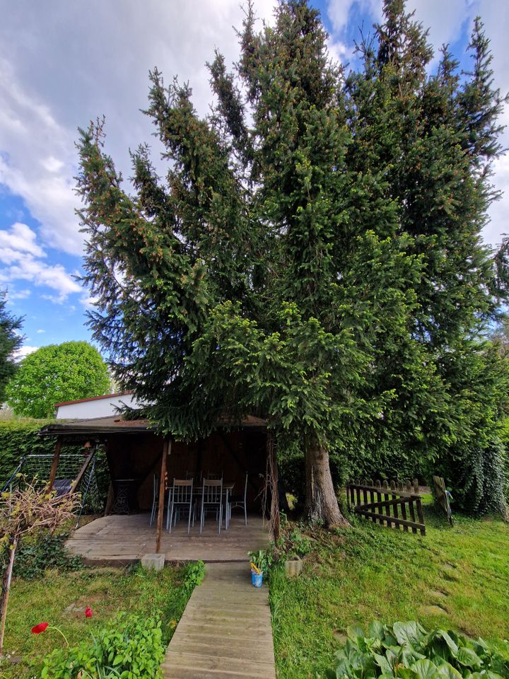 Wochenend/Gartengrundstück (Eigentumsland) mit massivem Haus in Borna