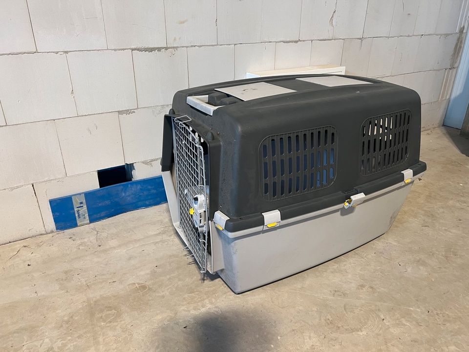 Tiertransportbox Hundetransportbox Katzentransportbox rollbar gro in Rheine