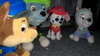 Paw Patrol Plüschtiere Set mit Chase, Rocky, Marshall und Everest Nordrhein-Westfalen - Neuss Vorschau