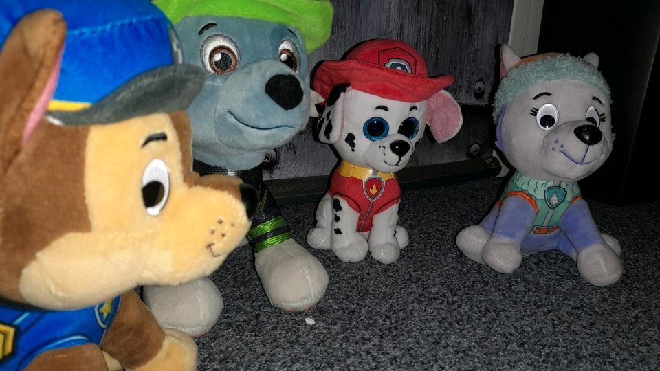 Paw Patrol Plüschtiere Set mit Chase, Rocky, Marshall und Everest in Neuss