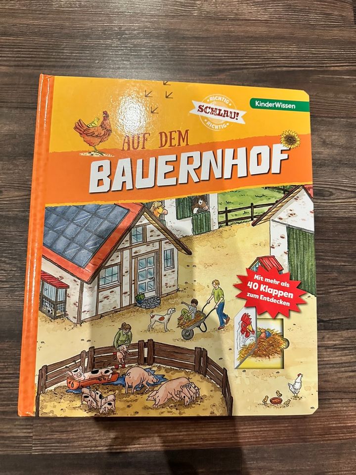 Neu Kinderbuch, Suchklappenbuch Bauernhof in Bubenheim