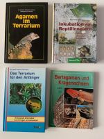 Reptilien Agamen Terrarium Bücher Leipzig - Grünau-Ost Vorschau