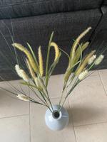 Deko Gras Schilf für Vase Sachsen - Hartha Vorschau