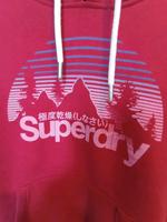 Neuer Superdry Damen Hoodie Kapuzenpullover Gr L Nordrhein-Westfalen - Rheda-Wiedenbrück Vorschau