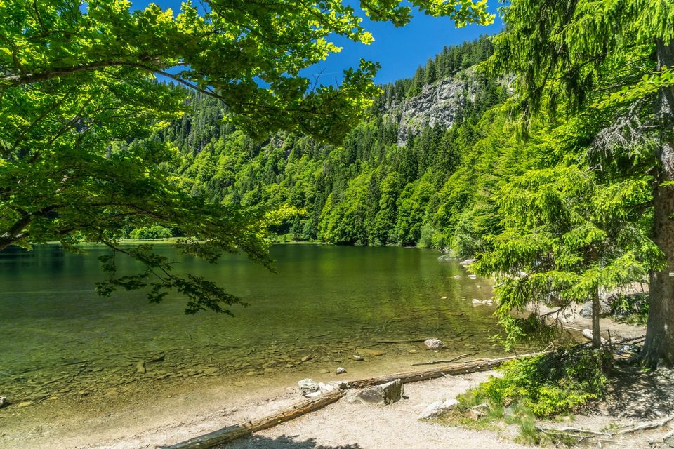 Schluchsee in Schluchsee