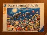 Puzzle Ravensburger (5000 Teile) Unterwassermotiv Stuttgart - Birkach Vorschau