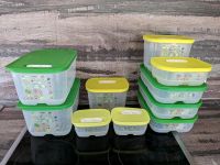 Tupperware Klima Oasen Set Niedersachsen - Alfeld (Leine) Vorschau