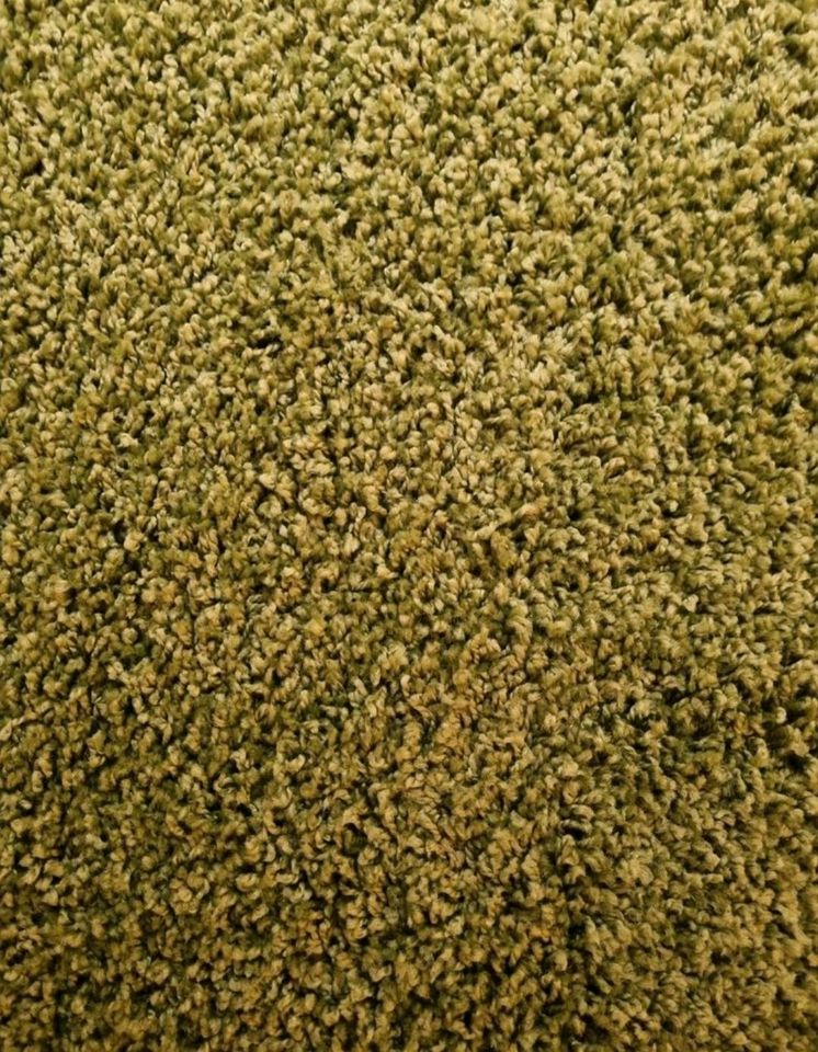 Teppich grün 300x400 in Göppingen