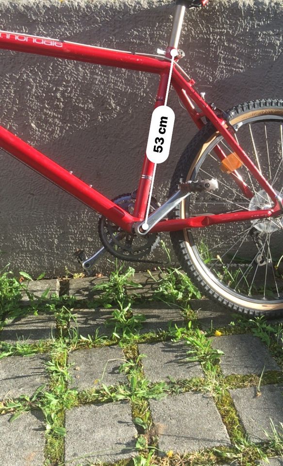 Cannondale Retro Mountainbike Alpine Größe L red bicycle in München