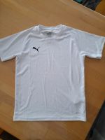 Puma T-Shirt Gr.152 Saarland - Nalbach Vorschau