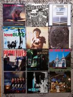 12 Schallplatten LP Vinyl Indie Wave 80er Hessen - Wartenberg Vorschau