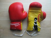 Boxhandschuhe 10 OZ - AK SPORT of Switzerland Fit for ever - Sachsen-Anhalt - Bad Schmiedeberg Vorschau