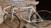Marken - Rennrad Nordrhein-Westfalen - Steinfurt Vorschau