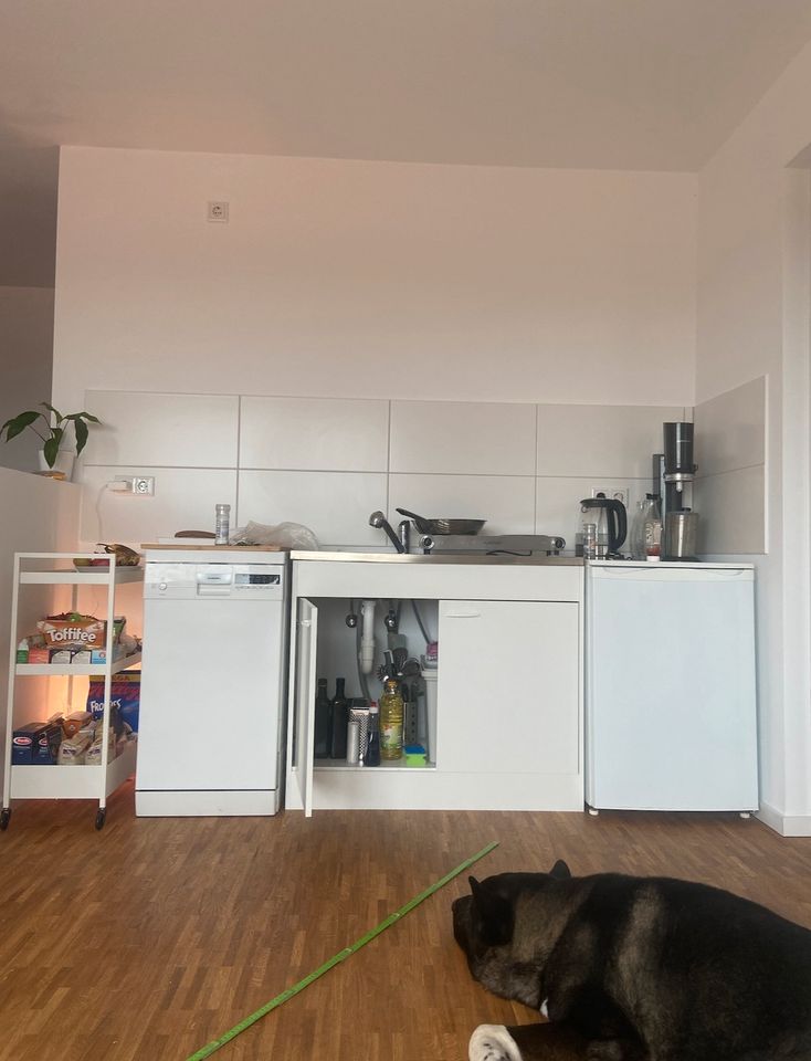 Küche - Übergang provisorisch - mit Spülmaschine, Kühlschrank in Nürnberg (Mittelfr)