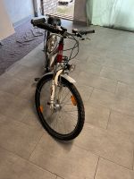 Pegasus Avanti 26 Zoll Fahrrad Nordrhein-Westfalen - Lengerich Vorschau