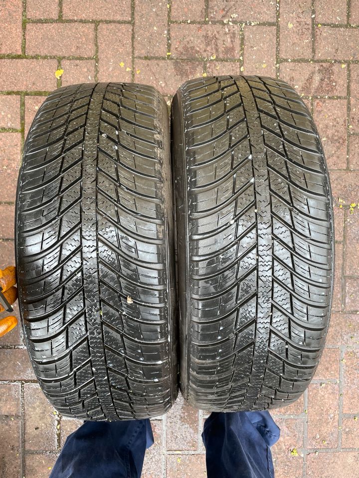 2stück 195/55R16 91H NEXEN N‘BLUE ALLSEASON in Stockstadt a. Main