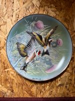 Rosenthal classic Sammelteller „Juwelen der Vogelwelt Hessen - Niestetal Vorschau