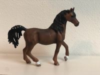 SCHLEICH Pferd Araber Hengst 2015 Baden-Württemberg - Rottenburg am Neckar Vorschau