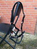 Halfter Sicherheitshalfter Weidehalfter Cob Schleswig-Holstein - Bad Oldesloe Vorschau