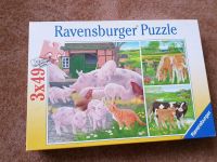 Ravensburger Puzzle 3x49 - Haustiere Mecklenburg-Vorpommern - Torgelow Vorschau