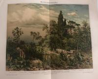 Originale vintage Abbildungen Poster Bilder Drucke von 1880-1900 Frankfurt am Main - Gallusviertel Vorschau