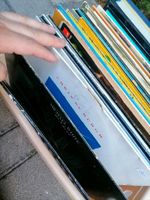 Schallplatte Schallplatten Sammlung abzugeben Bayern - Büchenbach Vorschau