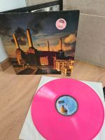 Pink Floyd - Animals LP Vinyl limitierte Auflage pinke Pressung Bielefeld - Bielefeld (Innenstadt) Vorschau