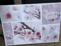 Spring Leinwandbild Frühling groß rosa weiß 70x50cm Nordrhein-Westfalen - Niederkassel Vorschau