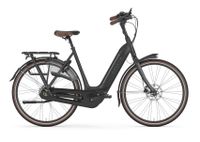 Gazelle Arroyo C8 Wave Rahmen E-bike Pedelec RH57 Niedersachsen - Leer (Ostfriesland) Vorschau