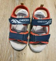 Geox Sandalen Gr 25 Hessen - Niddatal Vorschau