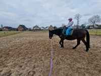 Reitunterricht rund ums Pferd Bielefeld - Senne Vorschau