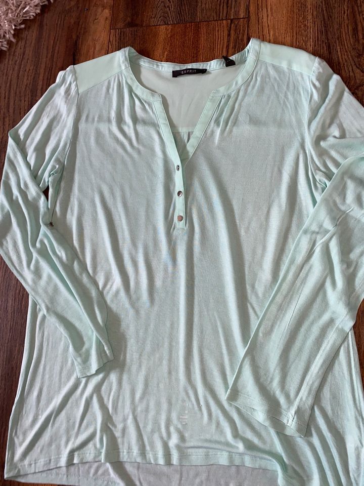 Esprit Damen Shirt Gr.M in Unseburg