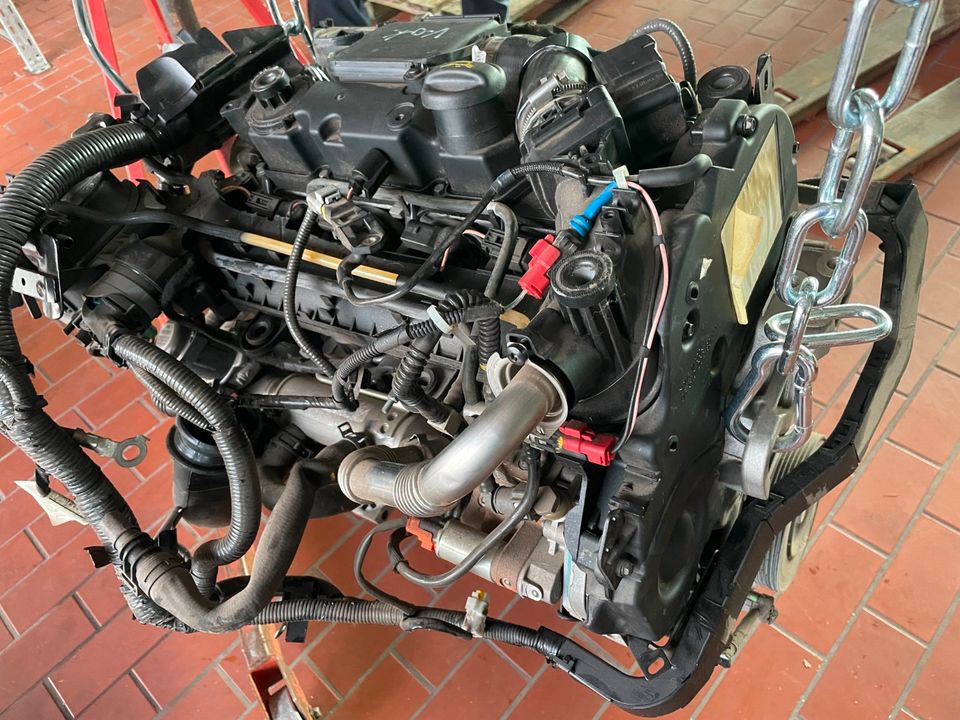 Ford Fiesta JA8 1.4 TDCI Motor F6JD Motor mit Anbauteilen komplet in Pfedelbach