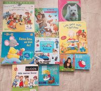 Set Bücher Kinderbücher Tierbuch Ministeps Klappenbuch Dresden - Klotzsche Vorschau