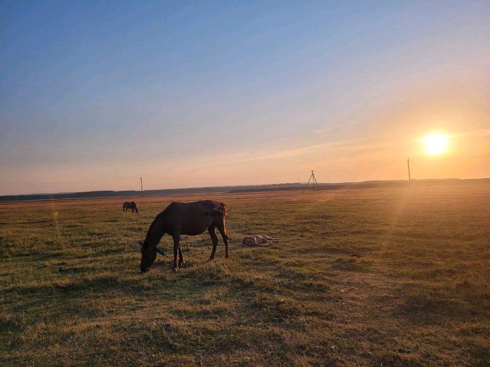 Vermiete Moldawien Calinesti  Haus mit Blick auf die weite Steppe in Gütersloh