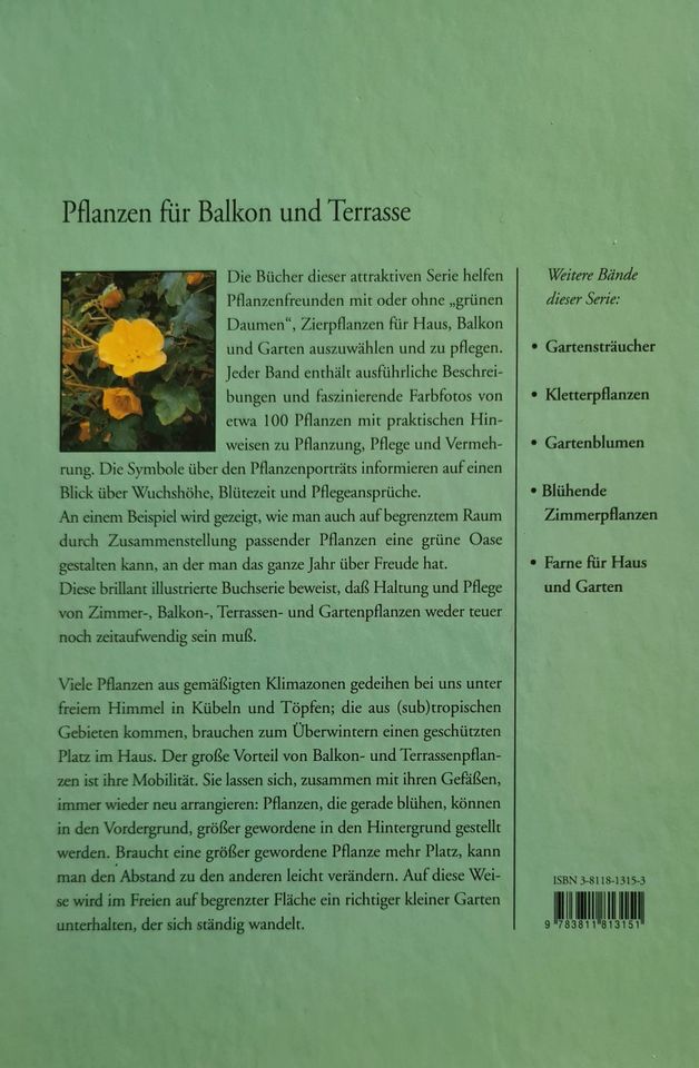Pflanzen, Blumen, Balkon, Terrasse, Botanik, Wohnung, Garten in Berlin